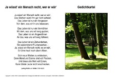 Ja-wüsst-ein-Mensch-Arnim.pdf